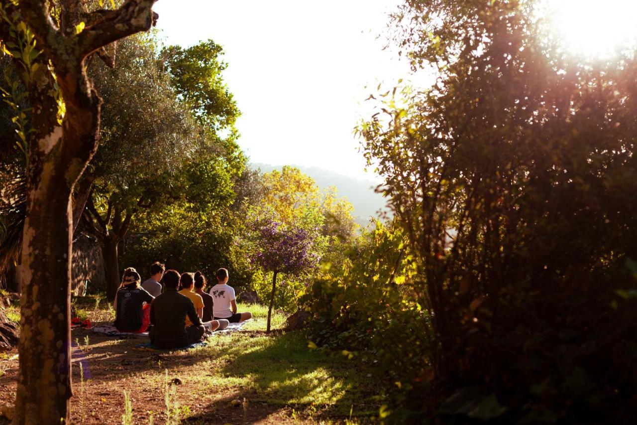 A Saboeira - Turismo Rural Villa Belver  Dış mekan fotoğraf