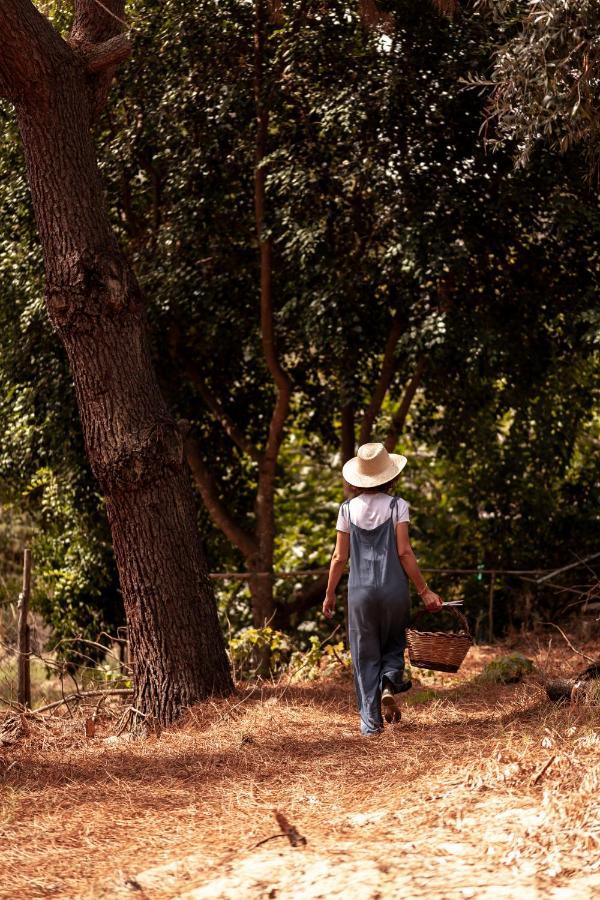 A Saboeira - Turismo Rural Villa Belver  Dış mekan fotoğraf