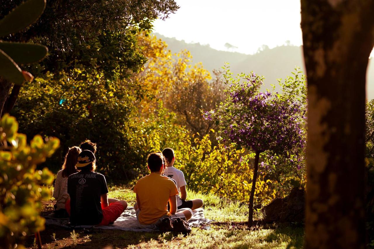 A Saboeira - Turismo Rural Villa Belver  Dış mekan fotoğraf