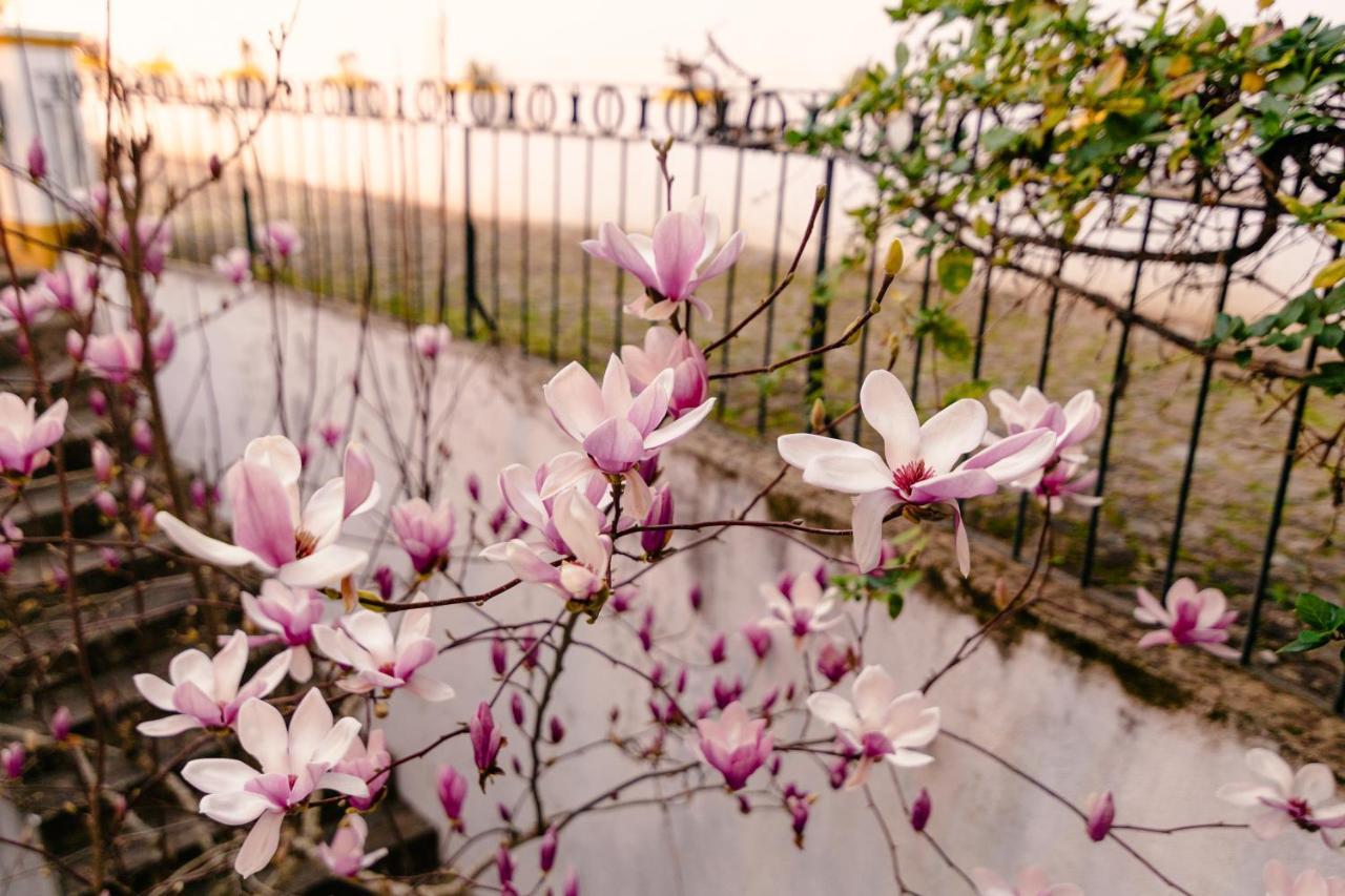 A Saboeira - Turismo Rural Villa Belver  Dış mekan fotoğraf